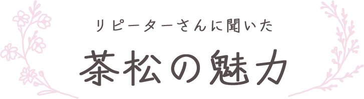 リピーターさんに聞いたCHA MATSUの魅力